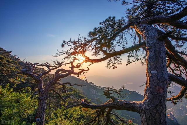 我是北京人	，刚从泰山回，实在忍不住想说：泰山给我三点印象