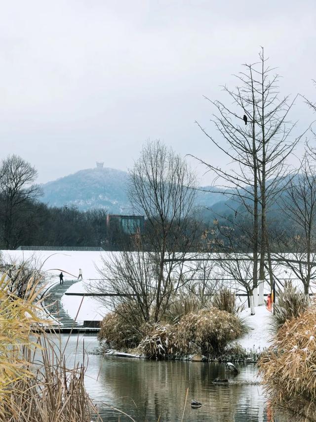 大寒雪落，我们陪你“慢下来”