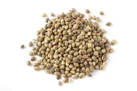 5种缓解老年人便秘的中药，补阳虚，润大肠，促排便，建议收藏图片