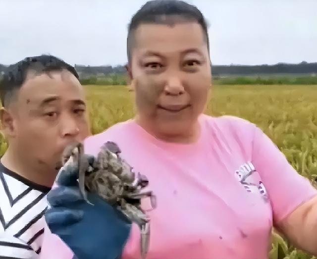 国务院点名封杀！这几位坑蒙老百姓的网红，直播带货路彻底堵死