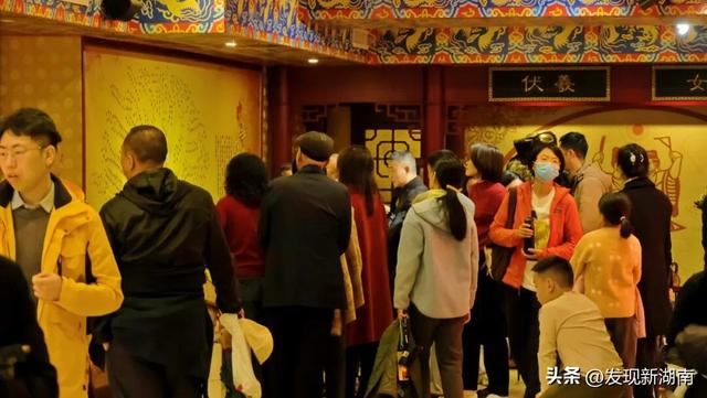 万家丽国际大酒店把“森林”搬进客房 多元业态唤醒城市旅居新想象