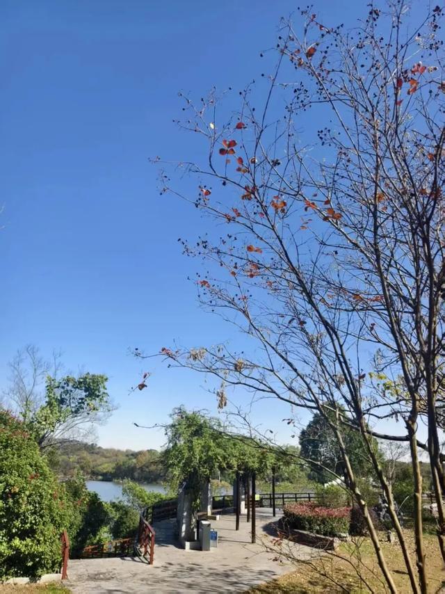 国际山岳日|今天适合爬山~