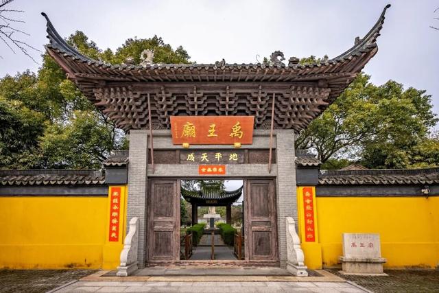 真的很美！2025苏州太湖观鸟超详细攻略来啦！