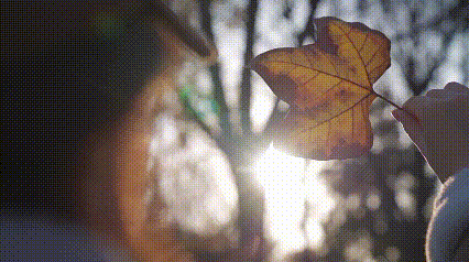 这么近那么美~猜猜这是哪？