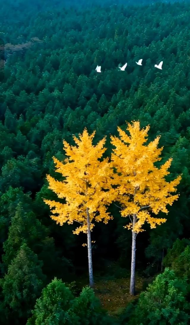 太极功夫六重境：从拳法到活法的暖心修行指南