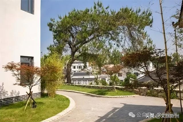 国家3A+1！新洲这个景区“糖分”已超标，有点好嗑，速来！