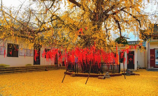 汝阳云梦藏着你不知道的历史