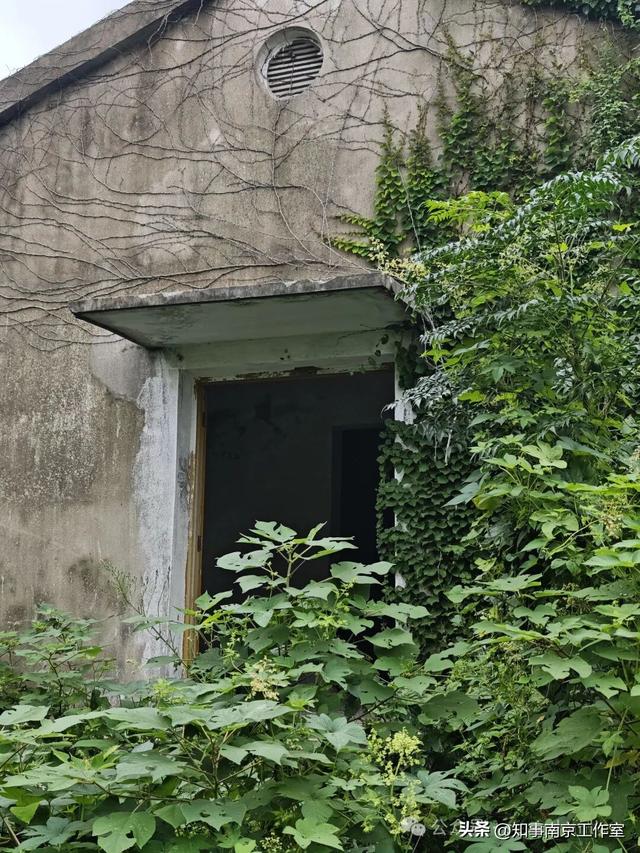 「转载」隐匿在南京老山的生化残城