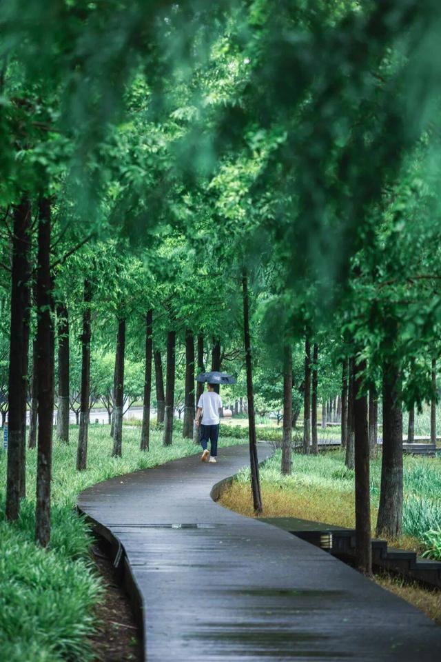 太美！来看金坛茅山私藏的「秋雨仙境」