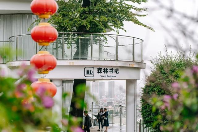 红河弥勒有个雨天好去处，高空森林氛围感超绝，还能解锁隐藏体验
