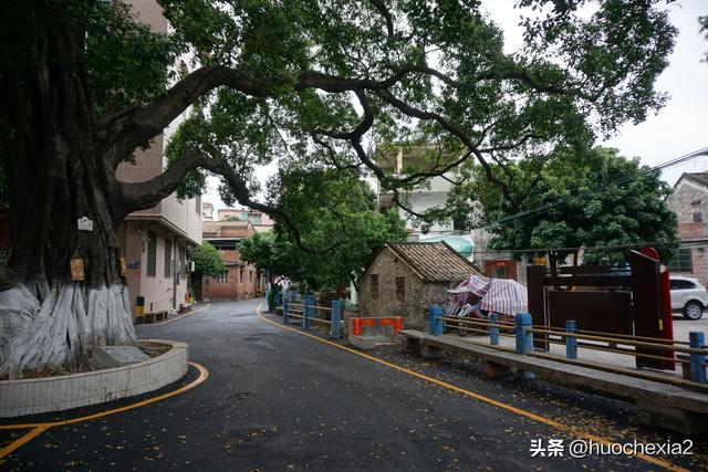 佛山真好逛——多彩的大墩村