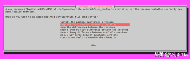 如何从 Ubuntu 24.04 升级到 Ubuntu 25.04？