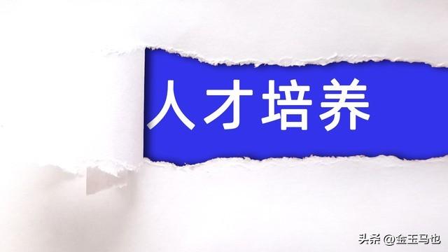 赋能未来：银行人才培养体系的优化与创新举措
