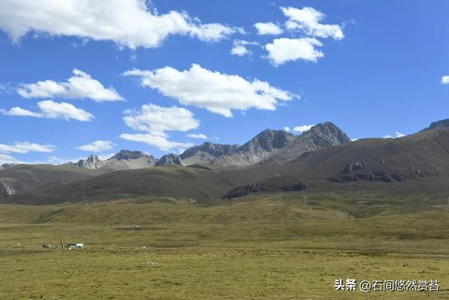 悠然闲记：微风拂而忆往昔