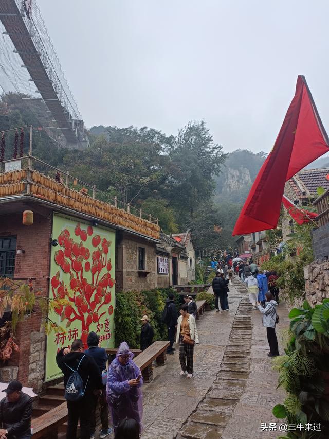 无为在歧路，柿岩之红叶