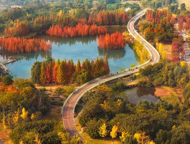 在千岛湖的深处，藏着一处风景绝美的地方叫红叶湾