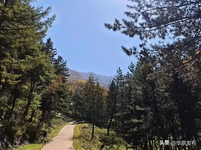 马峡镇车厂沟村：守一库碧水映青山 绘就生态宜居新画卷
