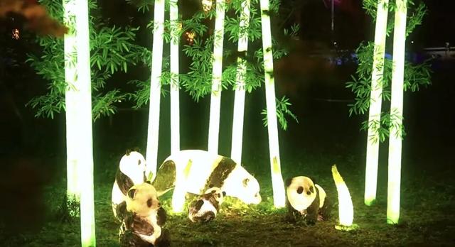 集“线”打卡！“错过集安的秋季，我将无法原谅自己”