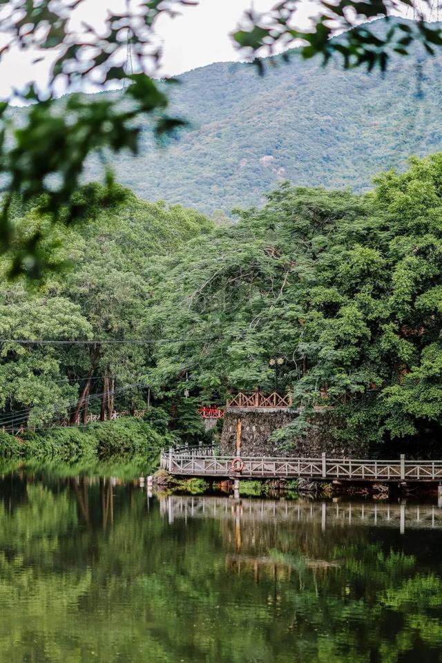 🤳原来秋天的龙岗，要这么追……