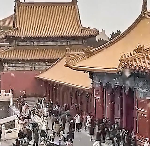 北京的雪终于下到故宫了