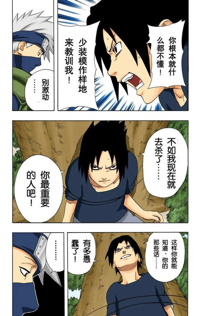 火影忍者彩漫 第二十卷 第五代火影纲手，鸣人佐助天台对决