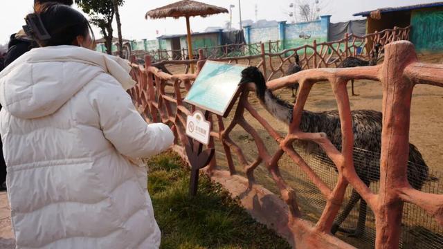 重磅官宣｜3月9日起 免费入园！水城·三国小镇春日盛宴开启