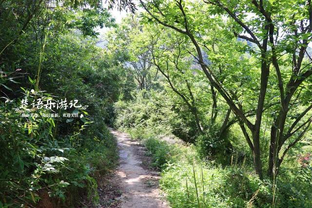 浙江绍兴发现一个森林公园，3条古道犹如绿野仙踪，成为徒步胜地