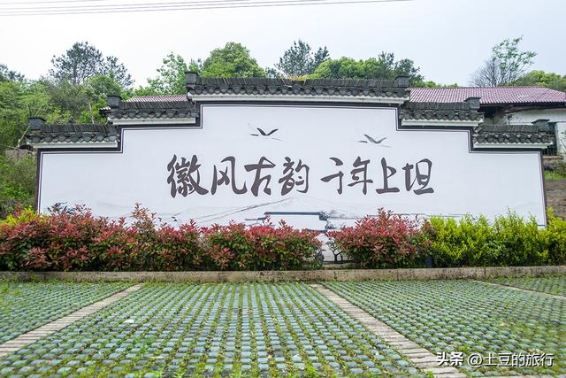 第3，皖南川藏线自驾游，红杉林偶遇小可爱脱衣服，我要不要帮忙