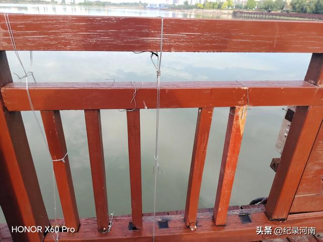 全国文明城市柘城县国家湿地公园榕湖斥巨资升级的人行栈道现状