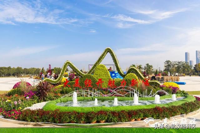 这个秋天，来武汉经开区共赴一场菊花之约