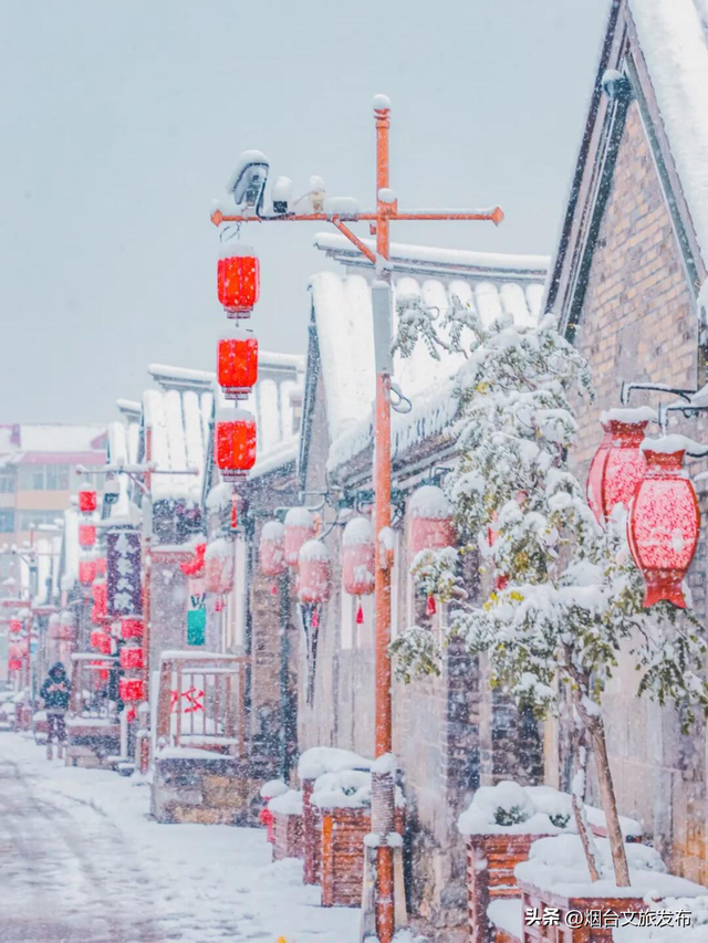 【乐游烟台】烟台，中到大雪！