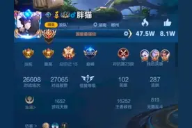 如何看待“胖猫”的一生？看网友评论引起千万共鸣图片