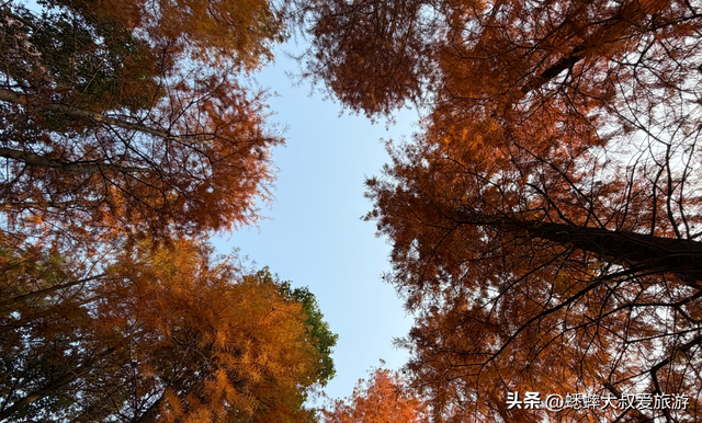 拥有王炸机位的浙江公园，其景“封神”，逛一圈，100％惬意！
