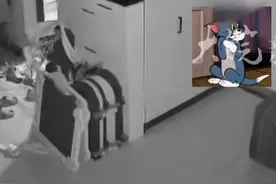 安徽一女子称“关好的家里大门，凌晨3点自动敞开”，网友：我家也这样图片