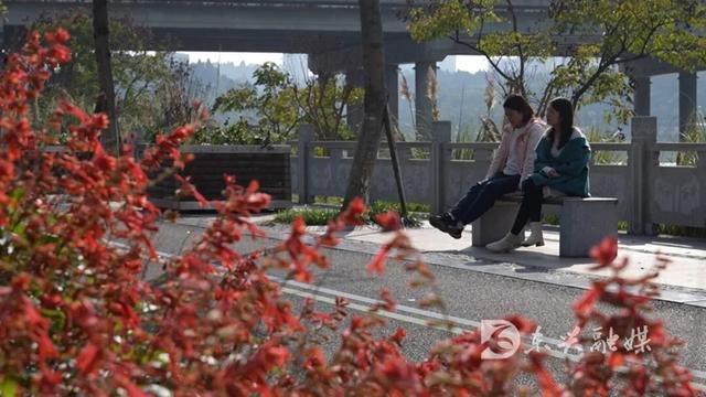 来东兴花萼湿地，感受城市的绿韵时光