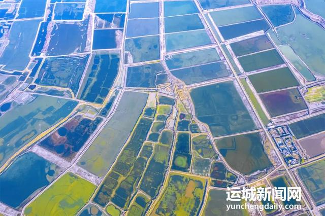 “淡季不淡”，运城文旅持续火热