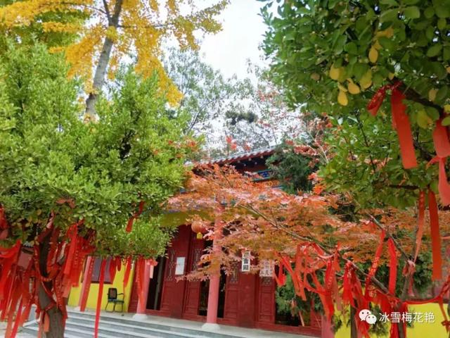 秋游大宗山朗公寺