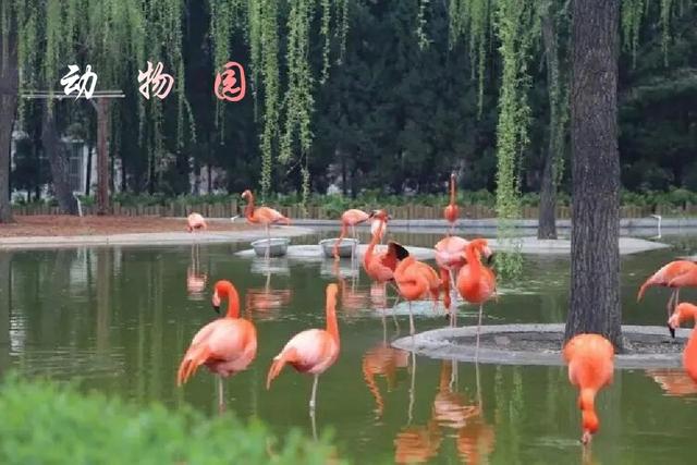 石 家 庄 河北省省会