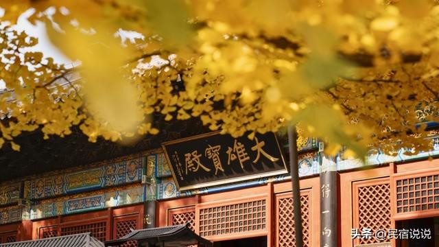 11月一定要收藏一份全国银杏观赏地图