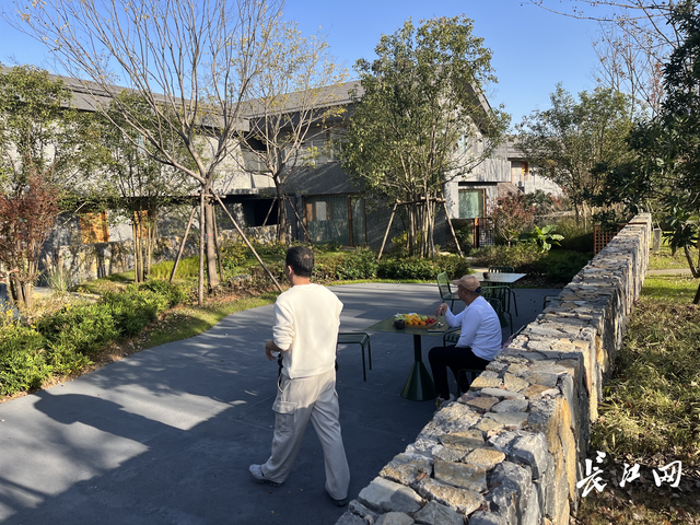 拔萝卜、品美食、打卡艺术民宿…… 武汉车友自发周末游咸宁