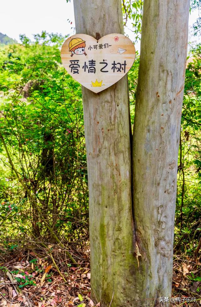 广东汕头澄海莲花山鸟语花香,徒步赏景做公益的热门地