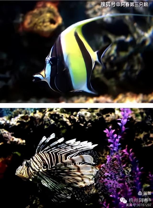 大连 之海洋世界