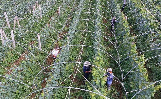 从湖南去了一趟蓬莱，实话实说，回来才发现朋友圈都是骗人的？