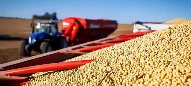 中国拒购涨价巴西大豆，巴西随即反制，并对华发起反倾销调查