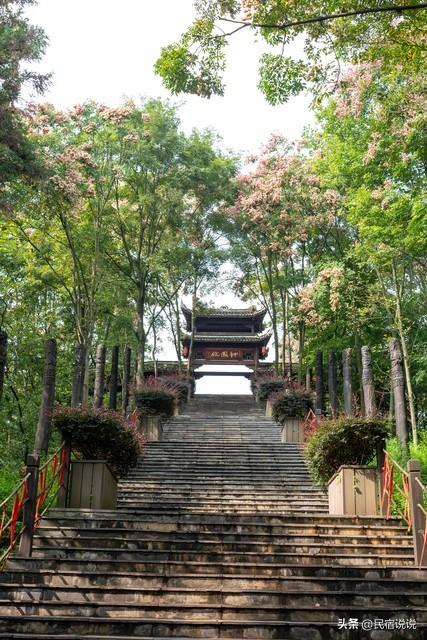 惊呆了！男子登顶华山直接先做十大碗。