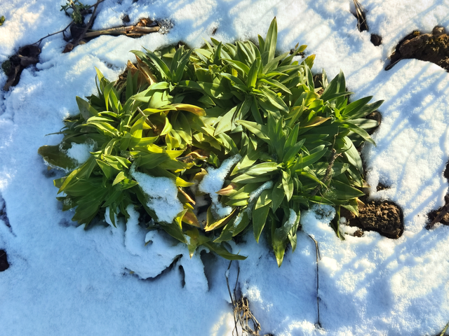 漫步黄河之滨幽静的小路