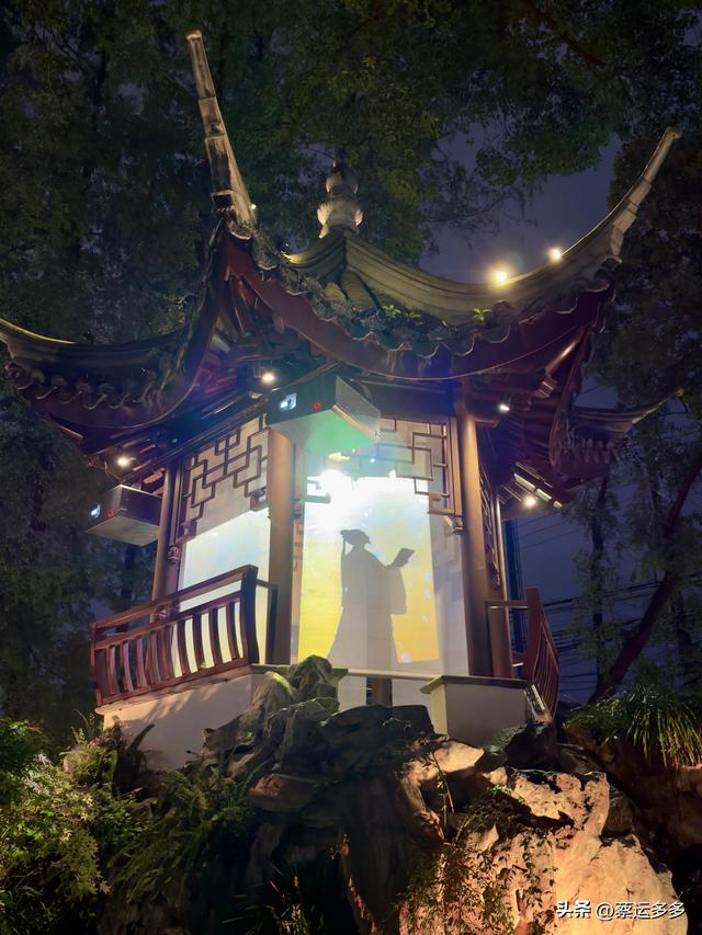 夜游上海古猗园，夜景璀璨迷人