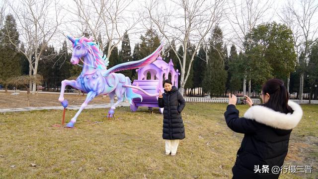 舜德花海新春嘉年华邀您共赏