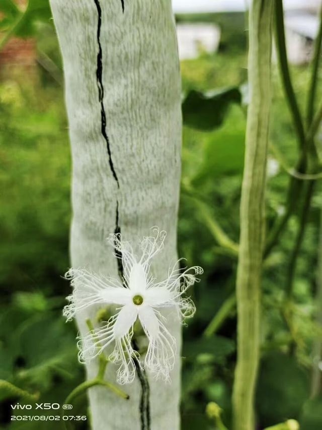 国家对8大扶持产业曝光，普通人不用靠大资本就能蹭上红利！