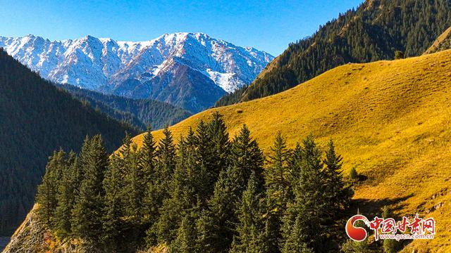 陇拍客丨民乐：雪后祁连山景色美